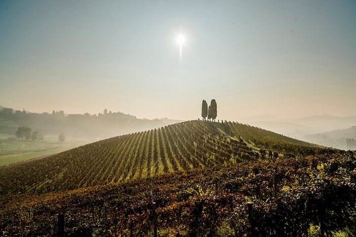 Vacanze Astigiane tra colli vitati e feste del vino