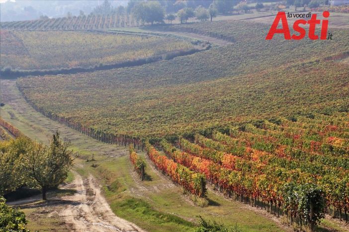 I costi dell'agricoltura raddoppiano per i rincari delle materie prime. Le aziende sono in crisi