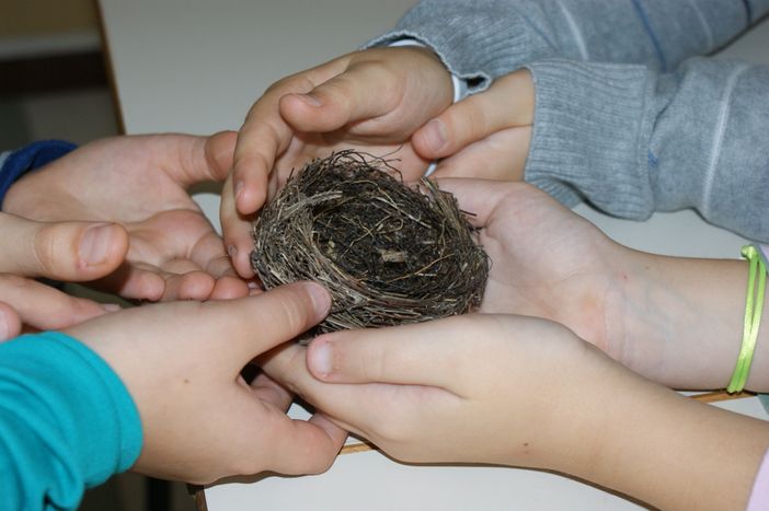 Bambini alla scoperta del nido Bambini alla scoperta del nido