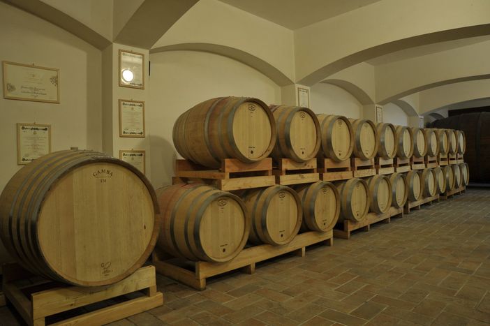 Grande successo per la giornata di &quot;Cantine Aperte&quot; alla Cantina Sociale Terre Astesane [VIDEOGALLERY]