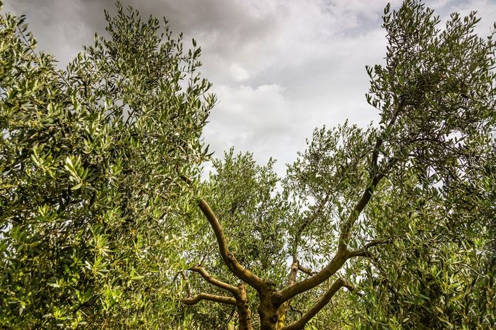 Primo posto per questo scatto di Lorenzo Passani