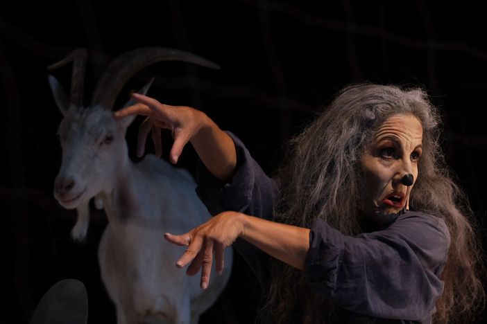 Paola Tortora Paola Tortora