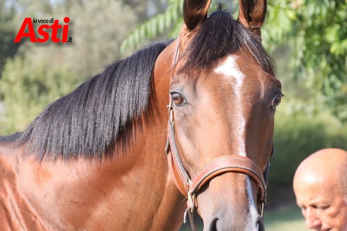 Galleria fotografica a cura di Efrem Zanchettin