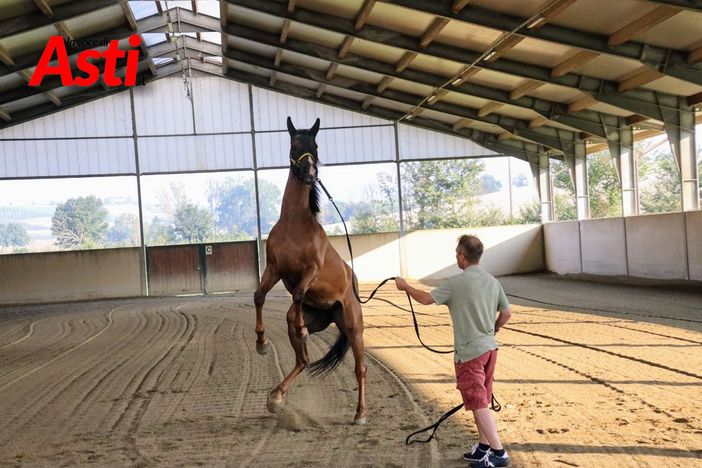 MerfePhoto MerfePhoto