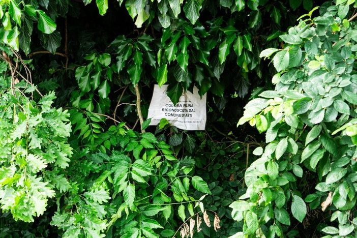 Ph. Nazario Olivieri Ph. Nazario Olivieri