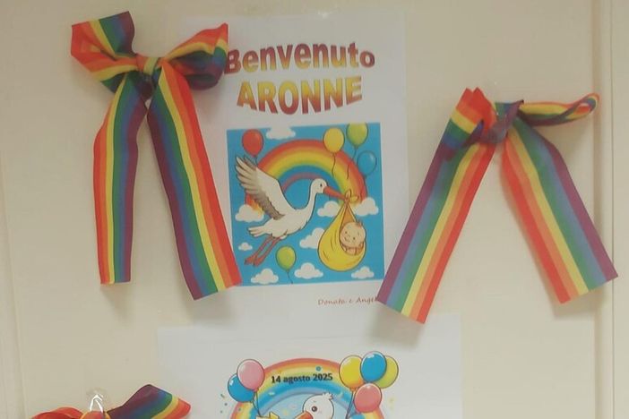 "Piaccia o no, alla nascita siamo maschi o femmine": il consigliere regionale Sacchetto contro le politiche di Padova e Bologna