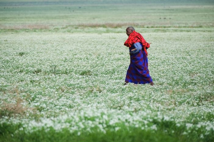 Dalla savana al cratere del Ngorongoro: ad Asti si viaggia con i racconti sulla Tanzania