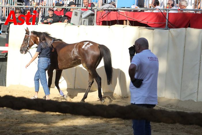 La cavalla  Zia Zelinda di San Marzanotto viene ritirata (Merphefoto)