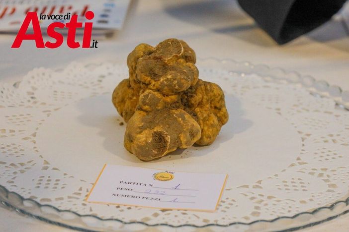 Galleria fotografica a cura di Merfephoto - Efrem Zanchettin