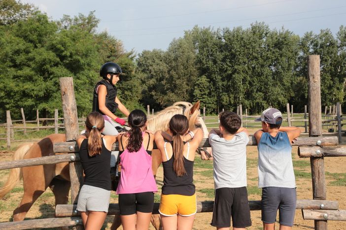 Giovani e agricoltura: un seminario Cia sul ruolo delle fattorie didattiche come comunità educanti Giovani e agricoltura: un seminario Cia sul ruolo delle fattorie didattiche come comunità educanti