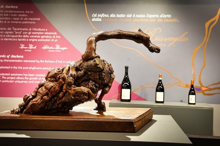 Musei di Asti accoglie ‘L’Anima del Vino’: il racconto artistico della Barbera Musei di Asti accoglie ‘L’Anima del Vino’: il racconto artistico della Barbera