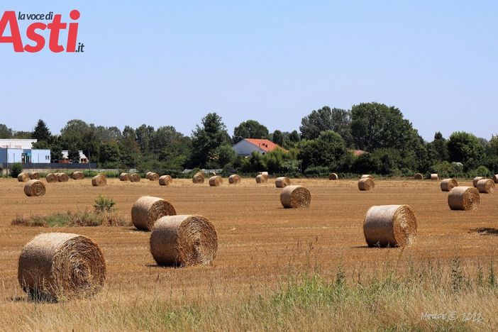 Ph Merfephoto Ph Merfephoto