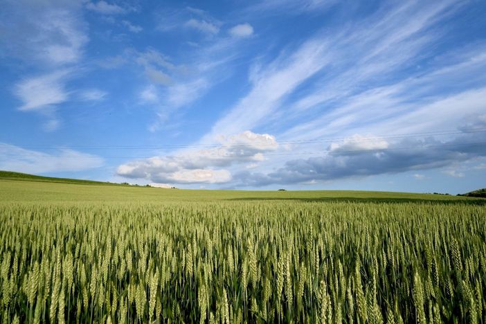 Le tensioni tra Russia e Ucraina 'spaventa' anche il mercato alimentare Le tensioni tra Russia e Ucraina 'spaventa' anche il mercato alimentare