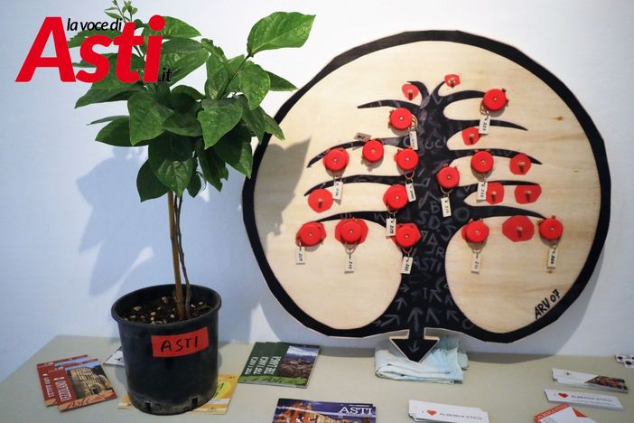 Merphefoto Merphefoto