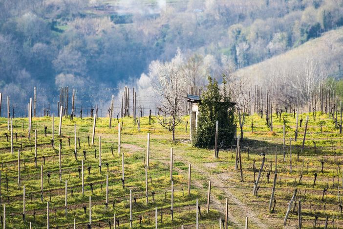 Bellezza naturale delle Colline Alfieri Bellezza naturale delle Colline Alfieri
