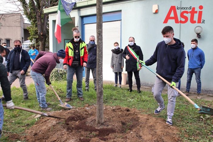 Oggi è la Festa dell'albero, anche nell'Astigiano iniziative e gesti concreti [FOTO]