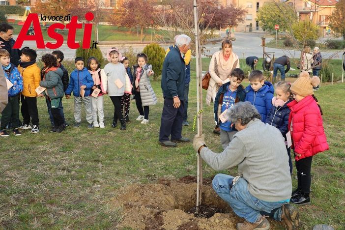 Galleria fotografica a cura di Merfephoto - Efrem Zanchettin