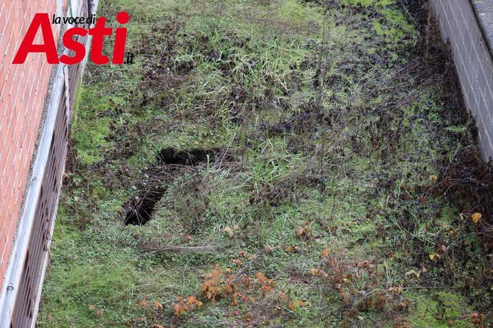 Ph. Merfephoto - Efrem Zanchettin