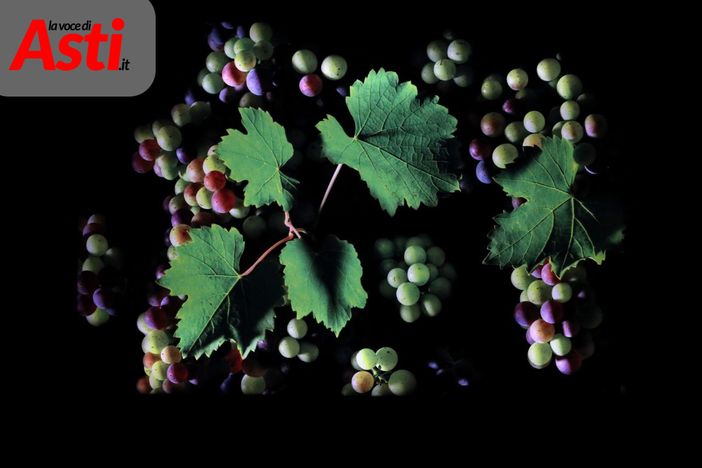 Fotogallery di MerfePhoto Fotogallery di MerfePhoto