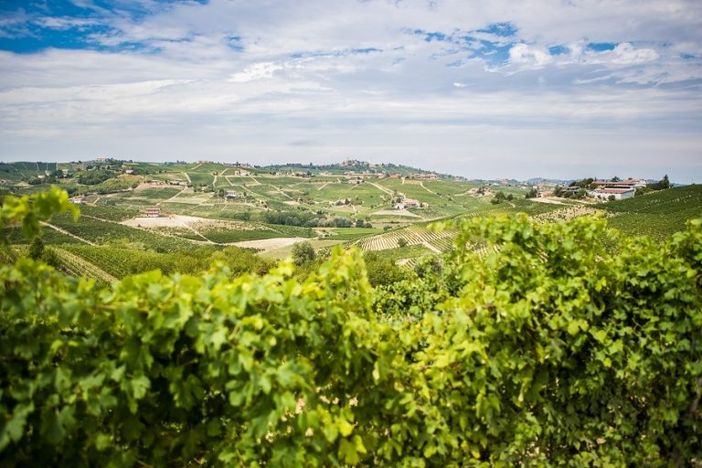 Viviamo in un posto bellissimo ricco di agroalimentare a rischio Viviamo in un posto bellissimo ricco di agroalimentare a rischio