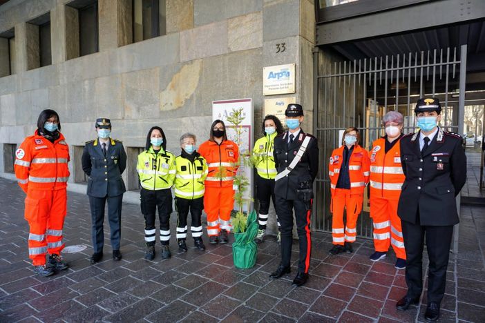Galleria fotografica a cura di Efrem Zanchettin - MerfePhoto Galleria fotografica a cura di Efrem Zanchettin - MerfePhoto