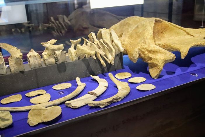 MerfePhoto MerfePhoto