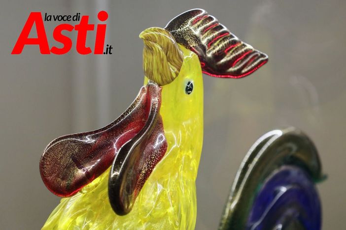 MerfePhoto MerfePhoto