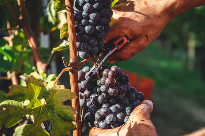 Obiettivo valorizzare le eccellenze del territorio e creare opportunità di lavoro