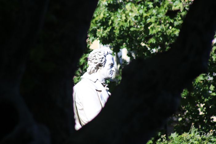 Ph Merfephoto Ph Merfephoto