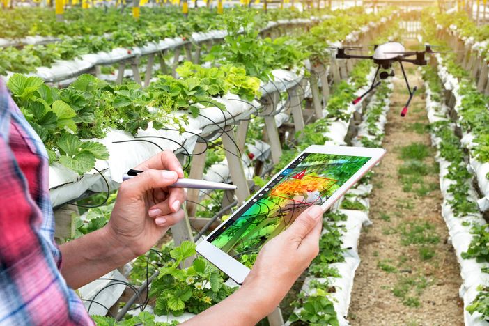 La digitalizzazione del Quaderno di campagna solleva dubbi e perplessità tra gli agricoltori La digitalizzazione del Quaderno di campagna solleva dubbi e perplessità tra gli agricoltori