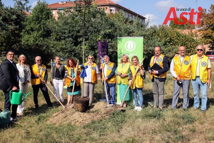 Galleria fotografica MerfePhoto Galleria fotografica MerfePhoto