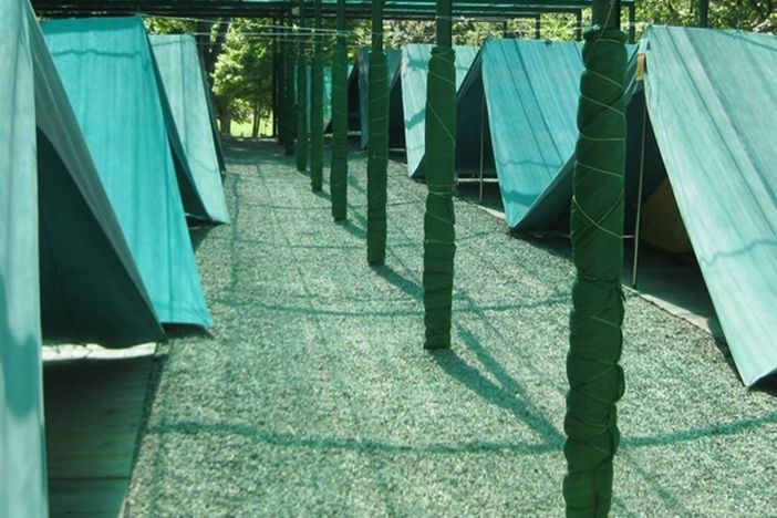 Marchio “Ecolabel”  con menzione speciale alla Provincia di Asti per il Campeggio di Roccaverano Marchio “Ecolabel”  con menzione speciale alla Provincia di Asti per il Campeggio di Roccaverano