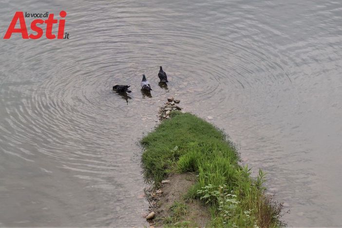 MerfePhoto MerfePhoto