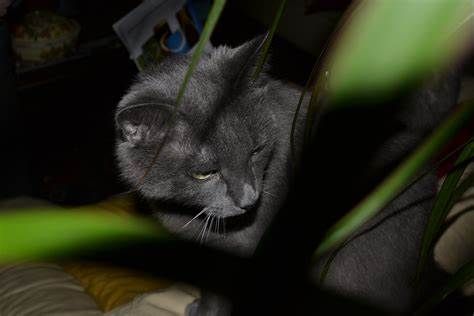 Immagine di repertorio