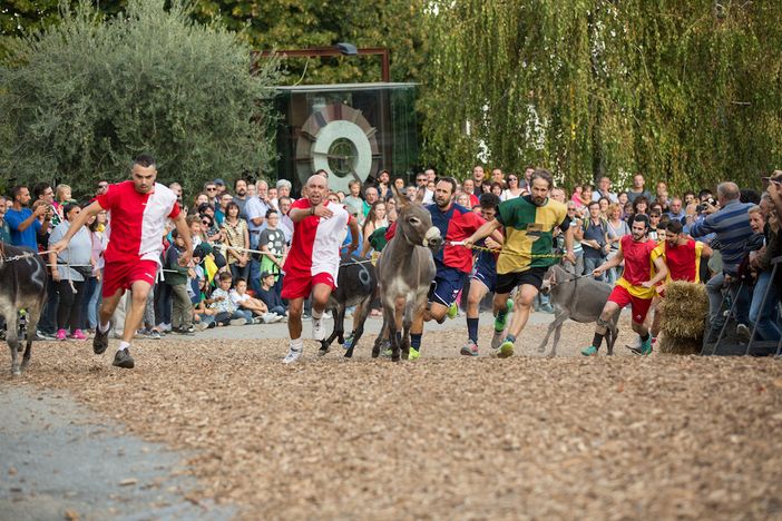 Cocconato si prepara ad ospitare una ricca edizione 2019 del Palio degli asini
