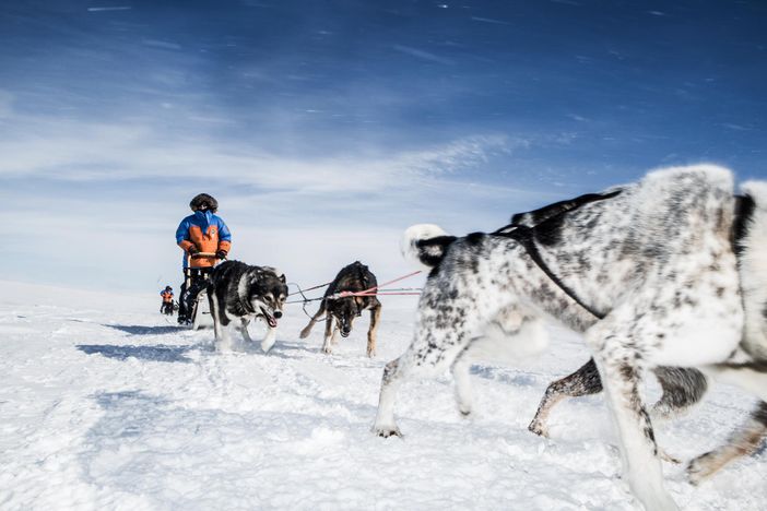 Un'immagine dell'edizione dello scorso anno tratta dalla pagina Facebook dell'evento Un'immagine dell'edizione dello scorso anno tratta dalla pagina Facebook dell'evento