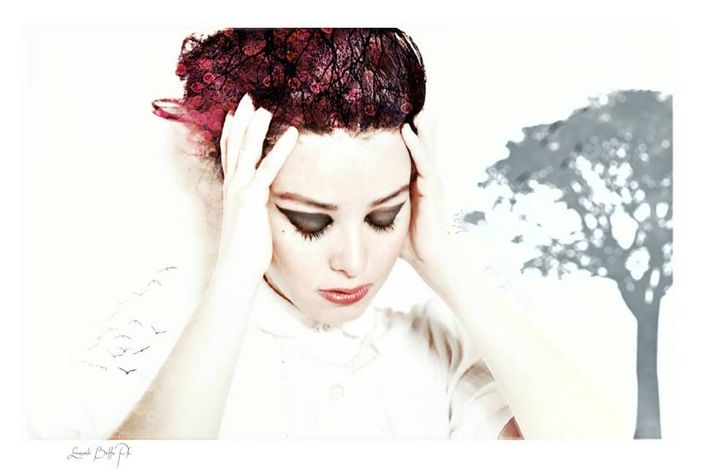 La copertina del libro