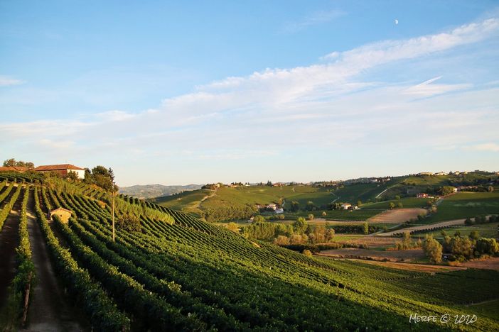 Ph Merfephoto (archivio)