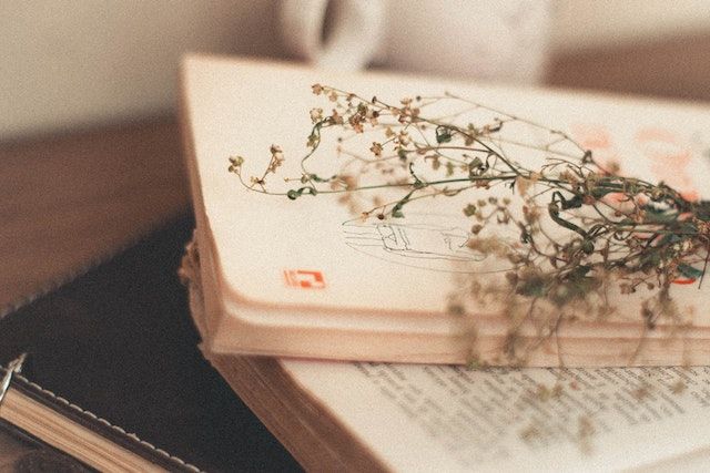 &quot;Biblioterapia? I libri curano?&quot; se ne parla il 21 ottobre ad Asti