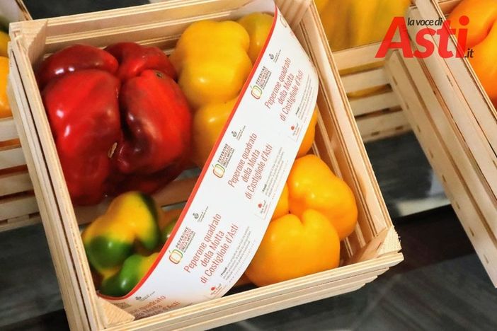 Il peperone quadrato della Motta in una foto di archivio di Merfephoto