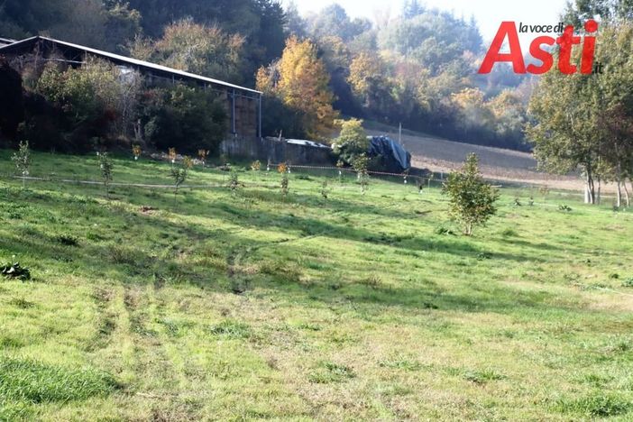 Nella Giornata degli Alberi al Parco Fruttuoso di Asti arriva anche la panchina rossa