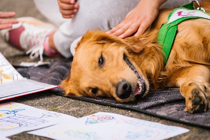Pet teraphy: la Regione incontra gli operatori del settore lunedì 13 giugno Pet teraphy: la Regione incontra gli operatori del settore lunedì 13 giugno