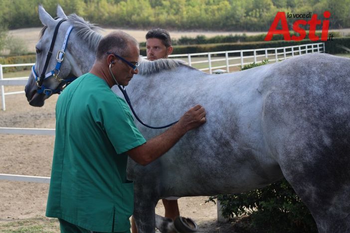 Ph Merfephoto Ph Merfephoto