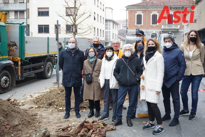 Asti, rimossi in via Rosselli i ceppi del platano abbattuto ad agosto e messe a dimora nuove piante [FOTO]