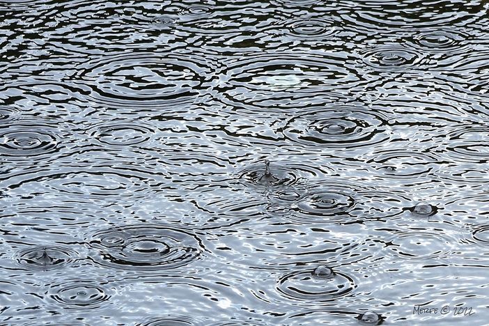 Frana sul territorio di Portacomaro, tra località Cappelletta e Castiglione