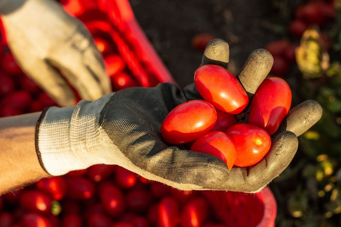 Astigiano e Casertano insieme per la giustizia sociale con la cooperativa Esperanto Astigiano e Casertano insieme per la giustizia sociale con la cooperativa Esperanto