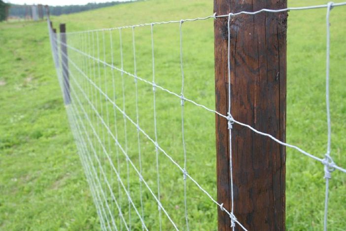 Confagricoltura Piemonte, Psa:  “Bene la proroga per l’emergenza, ma si proceda con le reti”