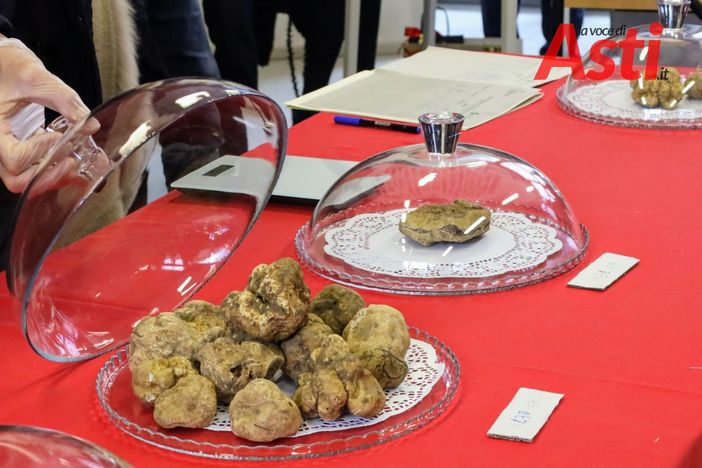 Fino a sera Asti profuma di tartufo con la Fiera Nazionale. I palazzi storici hanno aperto le porte al gusto [FOTOGALLERY]