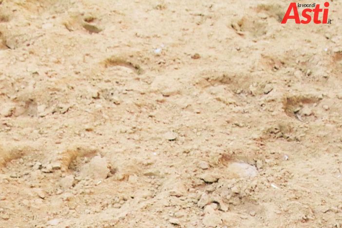 La terra e gli zoccoli dei cavalli, il simbolo di questo Palio che non c'è (MerfePhoto)