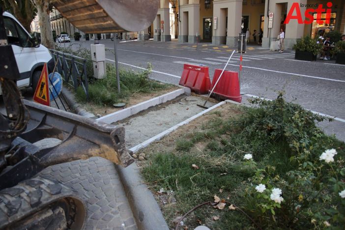 MerfePhoto MerfePhoto